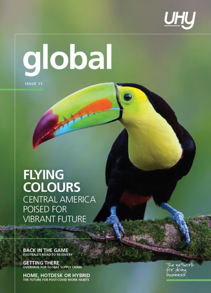 UHY Global Issue 11 May 2021