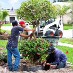 landscaping, moving to xero