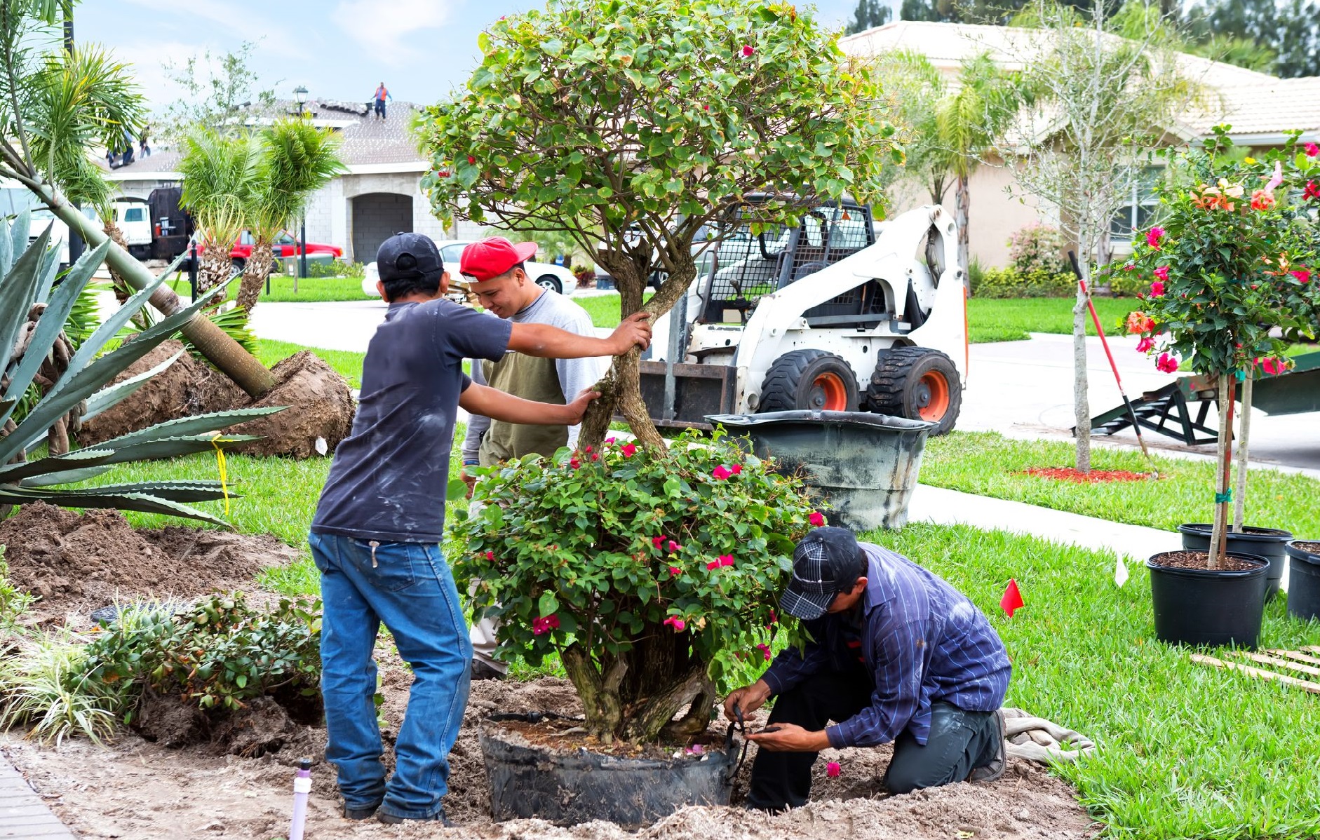 landscaping, moving to xero